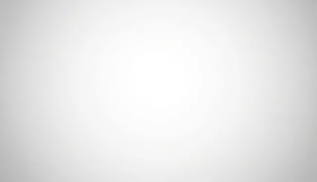 定制化软件开发服务，性能优化与适用条件分析